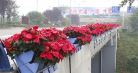 重慶花博會護(hù)欄綠化景觀提升